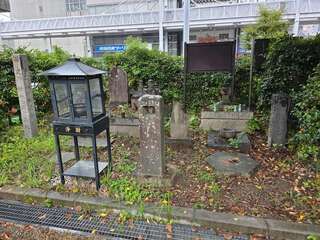 [写真]