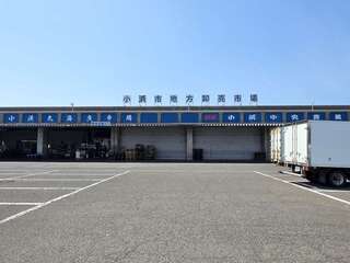 [写真]