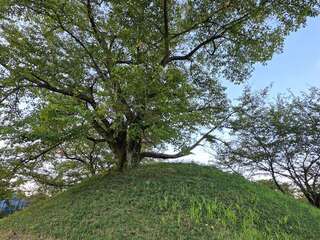 [写真]