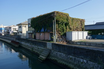 [写真]