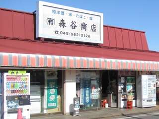 [WEB]