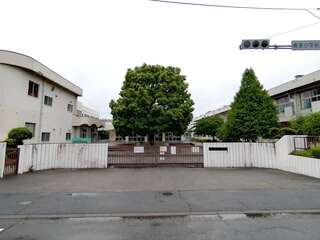 [WEB]