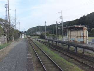 [WEB]